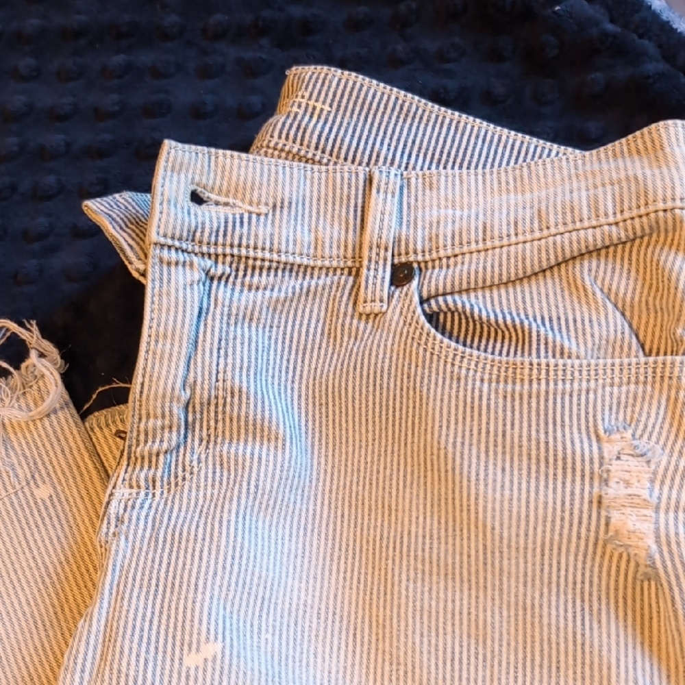 LOFT Blue and White Striped Ankle Jeans